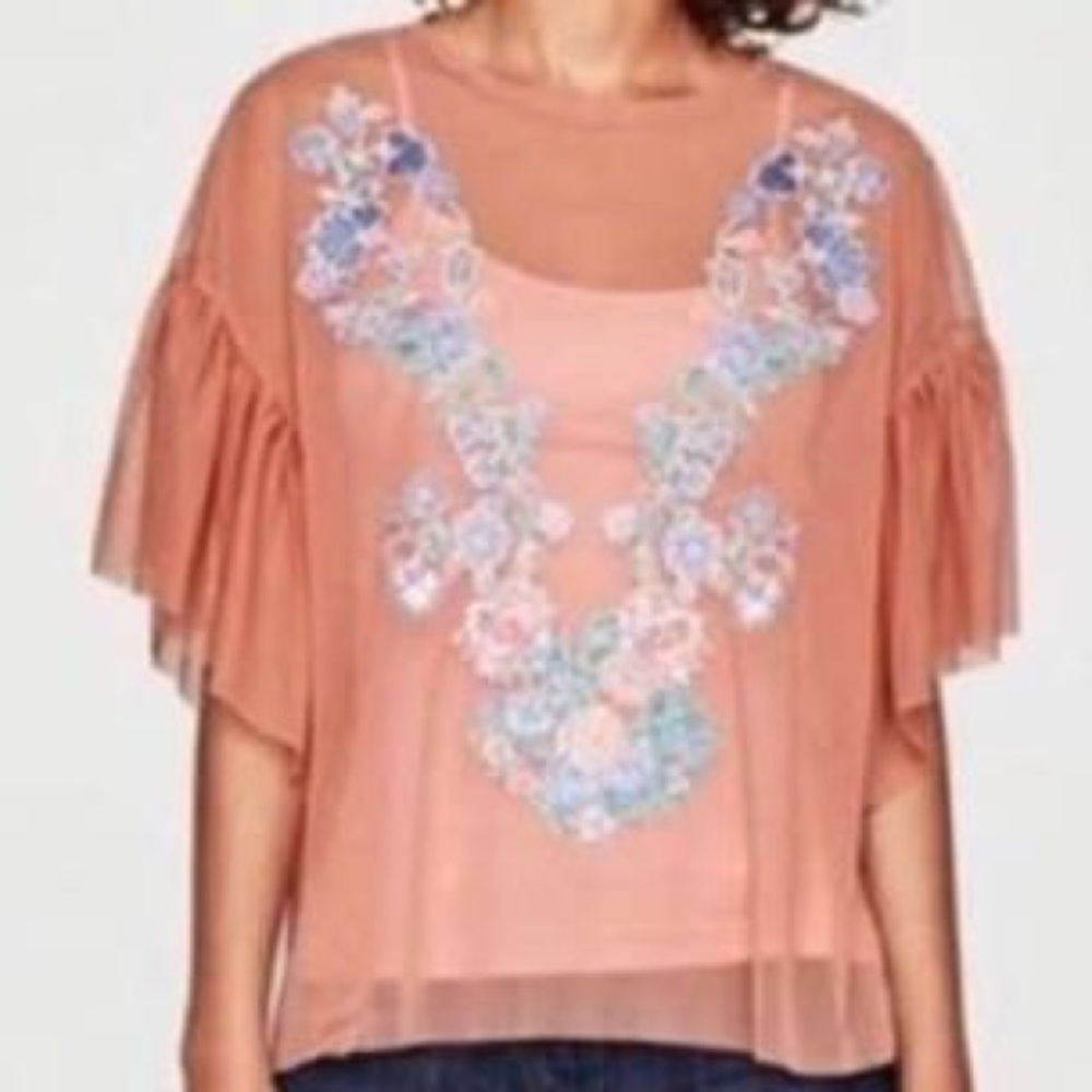 Zara Sheer Mesh Peach Pink Sheer Floral Appliqué Ruffle Sleeves Top NWT Large